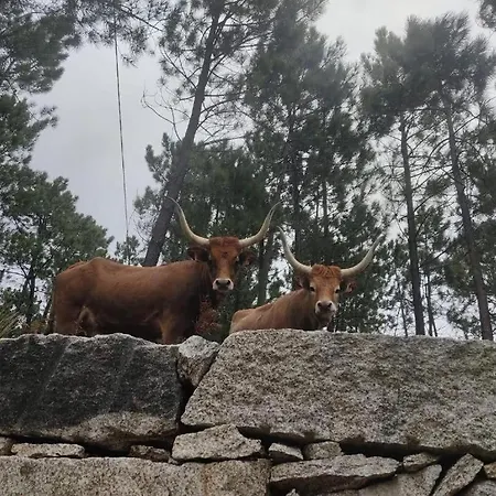 Hébergement de vacances Casa Do Corgo- Bubaces