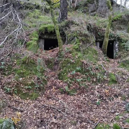 Casa Do Corgo- * Bubaces