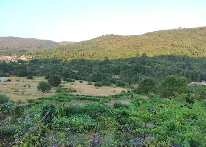 Tatil Evi Casa Do Corgo-